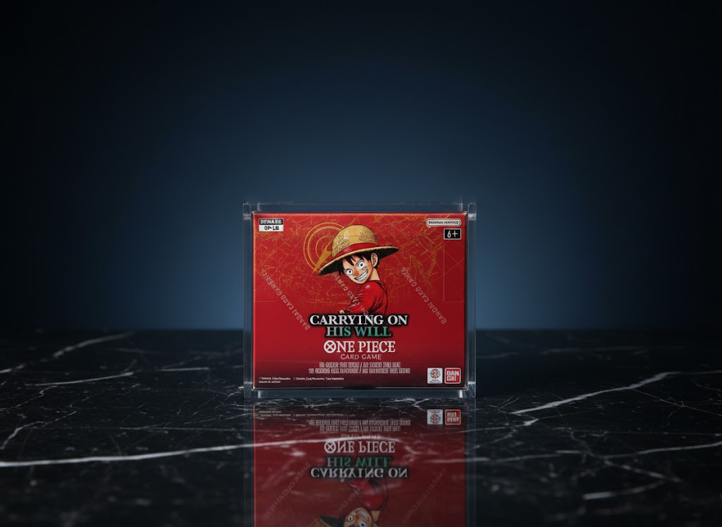 Protection Acrylique Display One Piece Keep It Sealed